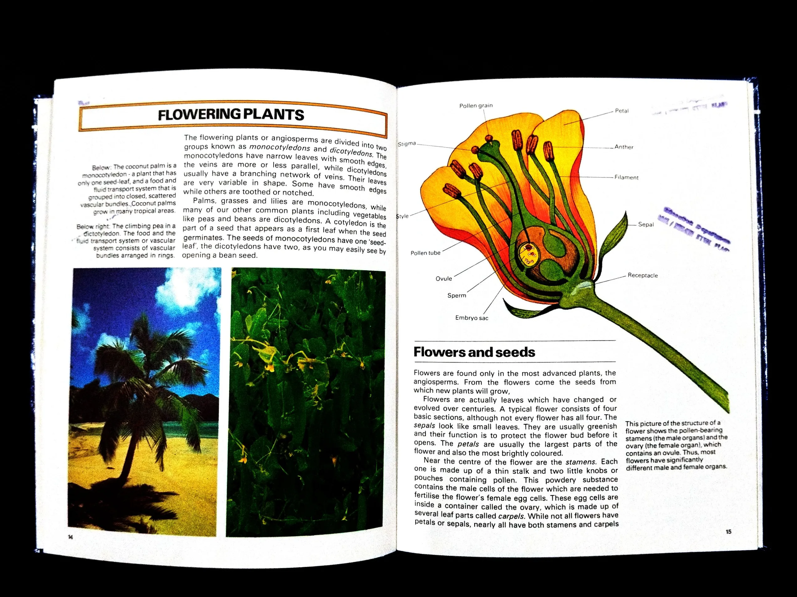 The World Of Plants .