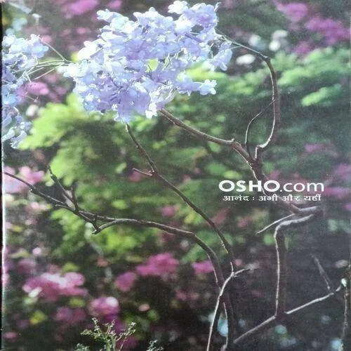 Osho Times ( April 2006 )