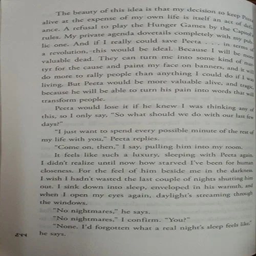 Catching Fire (No. Of Pages – 392) Catching Fire (No. Of Pages – 392)