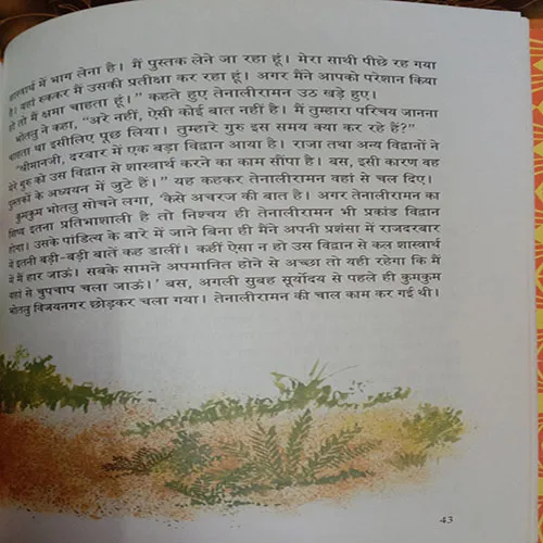 Tenaliraman Ki Kahaniyan