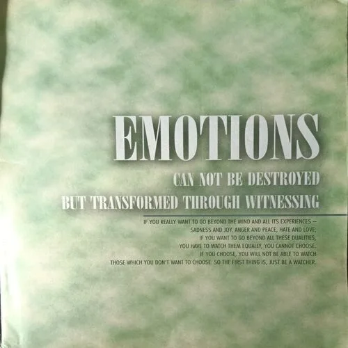 Osho Times ( May 2001 )