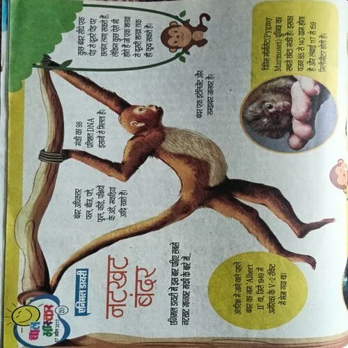 Bal Bhaskar ( 7 April 2017 )