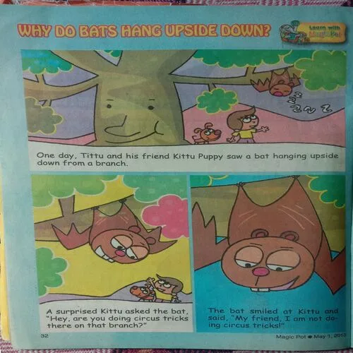 Magic Pot (May 1, 2013)