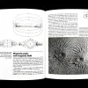 Magnetism And Electricity .
