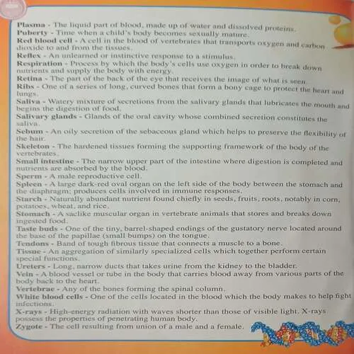 Junior Encyclopedia Human Body ( Total Pages 224 )