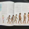 Children Encyclopedia – 3 .