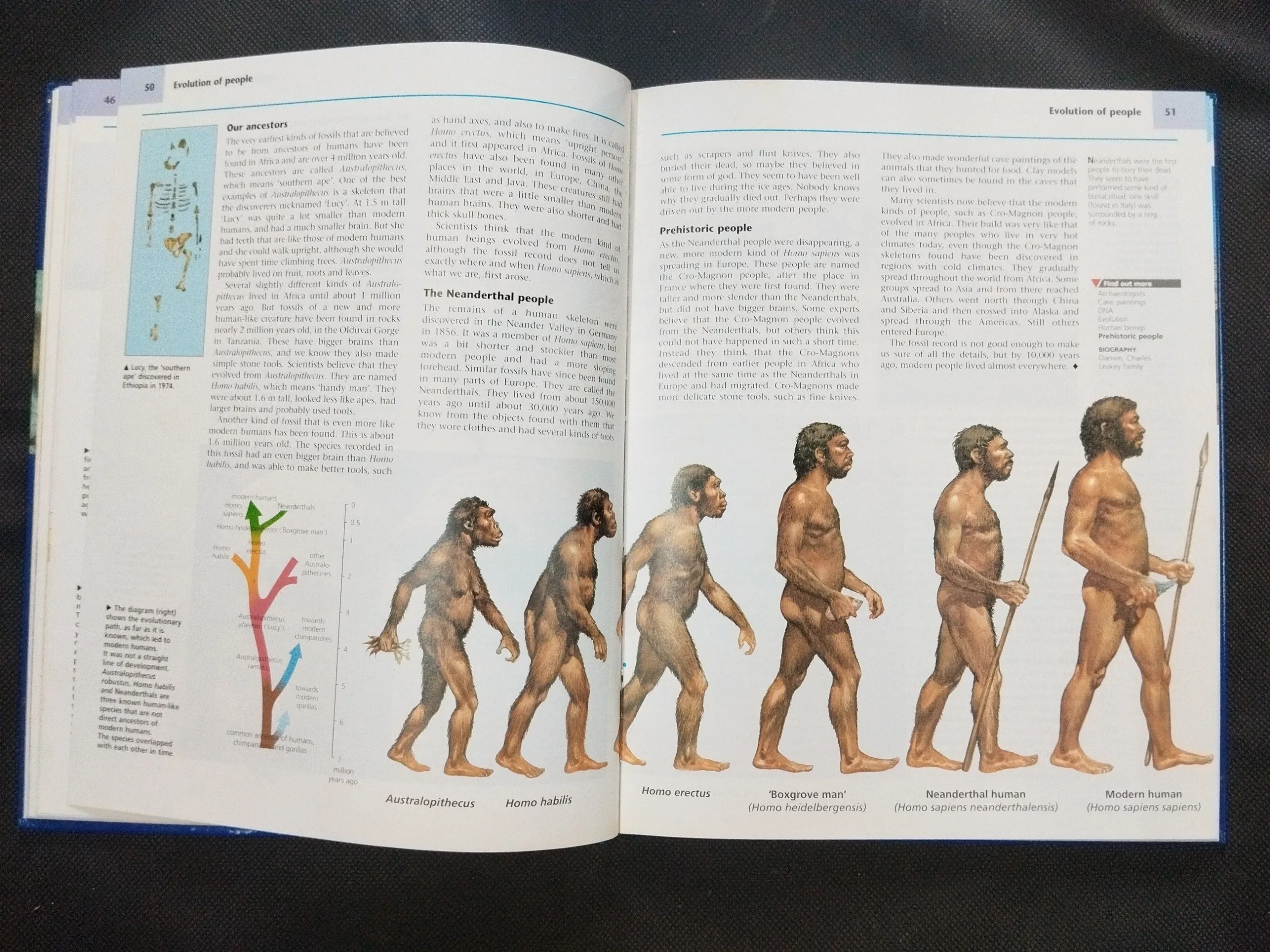 Children Encyclopedia – 3 .