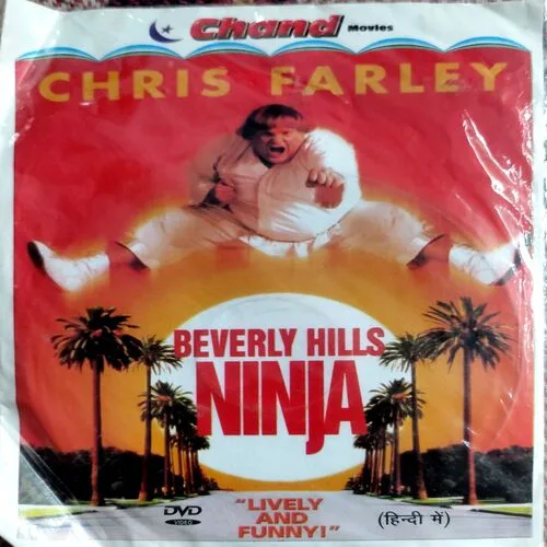 Beverly Hills Ninja