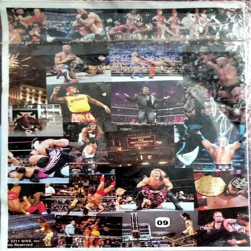 WWE Survivor Series
