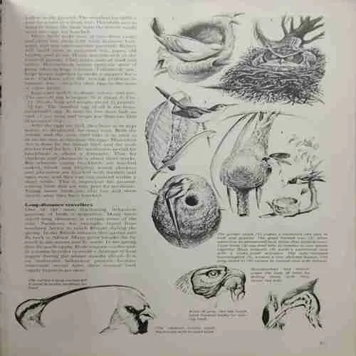 The Great World Encyclopedia