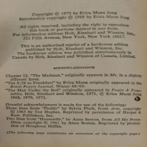 Fear Of Flying  (No. of pages 312) (Little hole in First few pages)