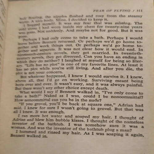 Fear Of Flying  (No. of pages 312) (Little hole in First few pages)