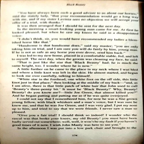 Black Beauty (No. of pages 174)