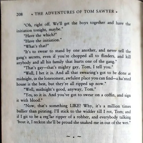 The Adventures Of Tom Sawyer ()