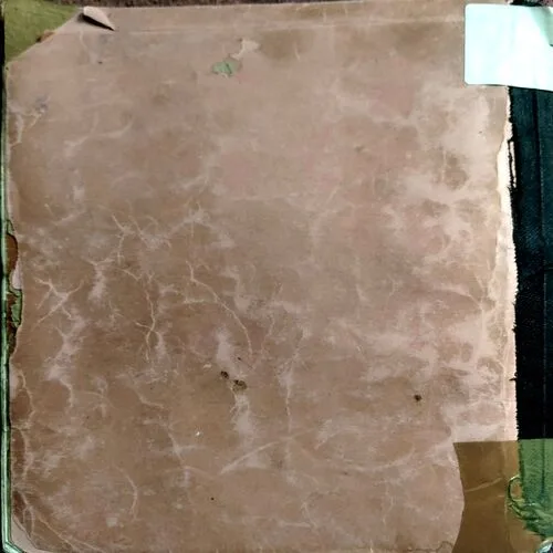 Money Plant Aur Dusri Kahaniyan (No. of pages 44)