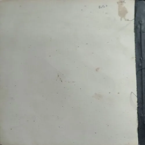 Raju Aur Akbar  (No. of pages 16)