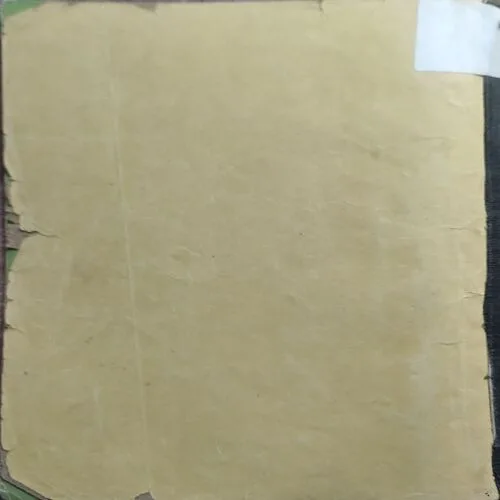 Main Kya Banunga  (No. of pages Nil)