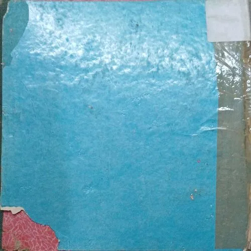 Apna Raja shawyam bano( No. of pages =28 )