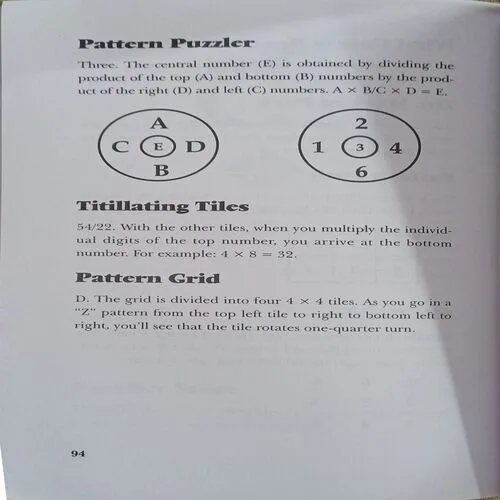 Critical Thinking Puzzles   ( No. of pages = 96 )