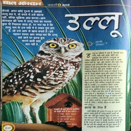 Bal Bhaskar ( January 1st 2009 )