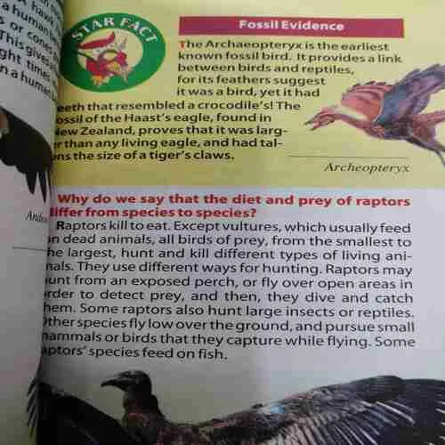 Tell Me Why . Edition :- ( Oct – 2012 , Vol. 06 , No. 13 ).