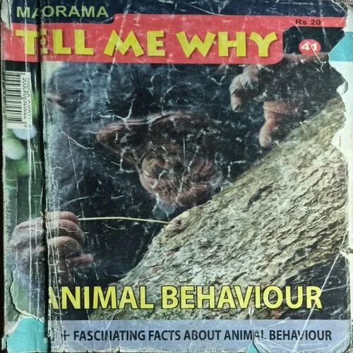 Tell Me Why