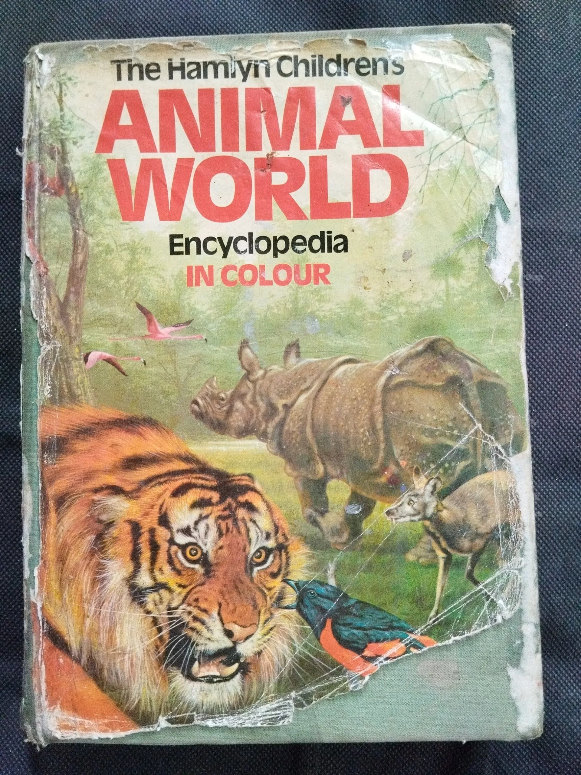 Animal World Encyclopedia In Color .