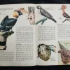 Animal World Encyclopedia In Color .