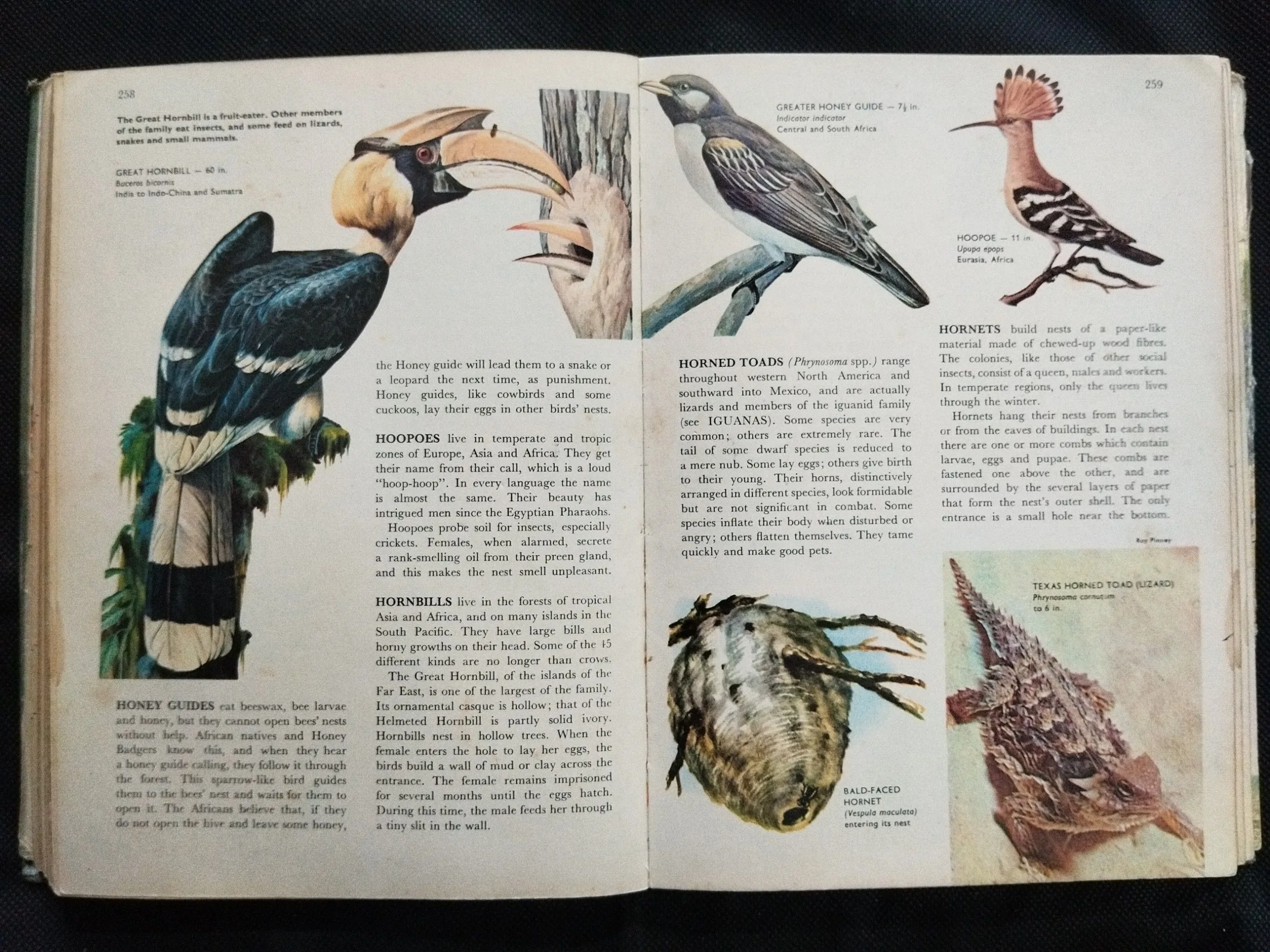 Animal World Encyclopedia In Color .