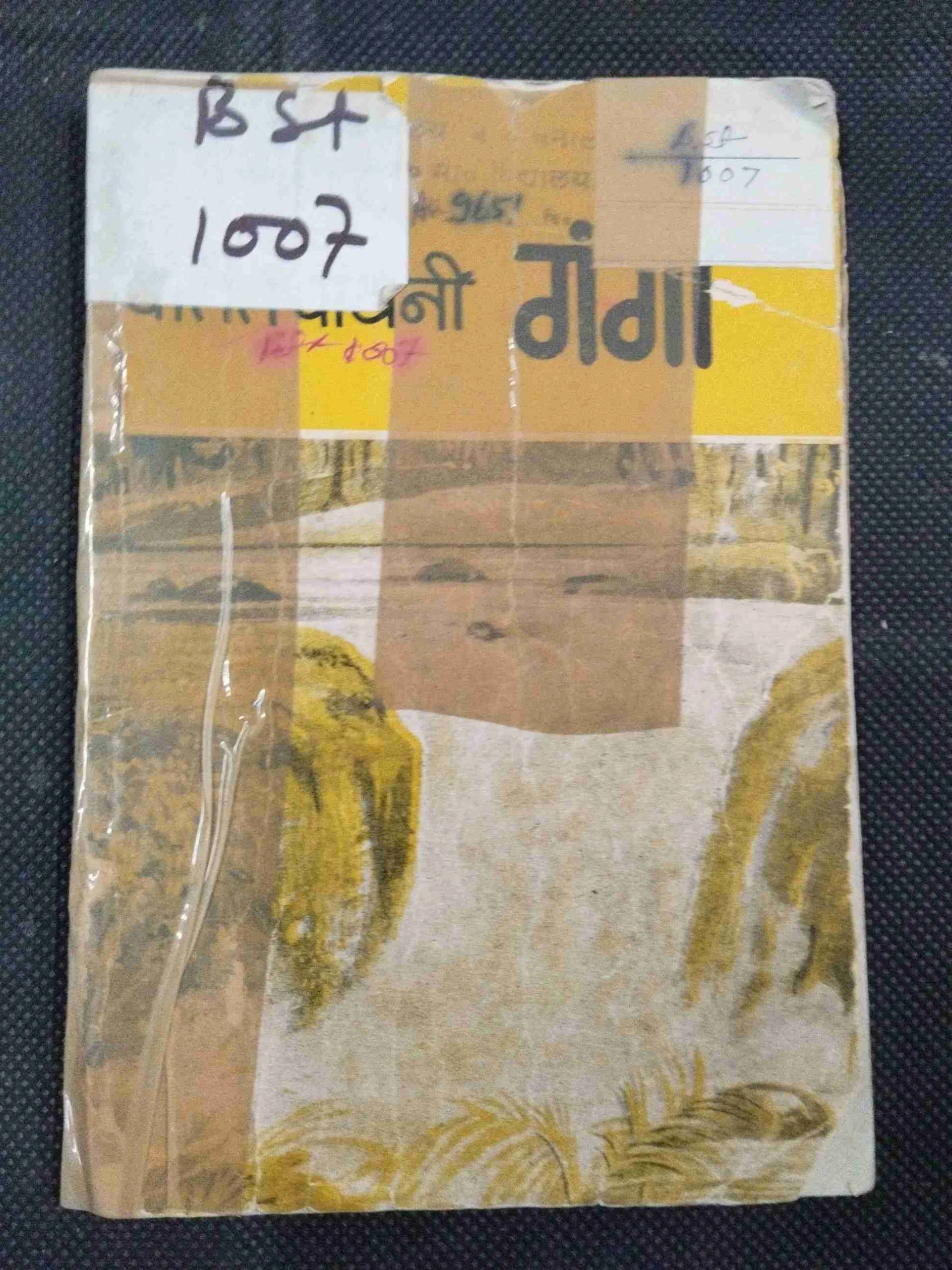 Patit Pawan Ganga ( Cover and some pages are damage but no story damage ) .