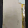 Patit Pawan Ganga ( Cover and some pages are damage but no story damage ) .