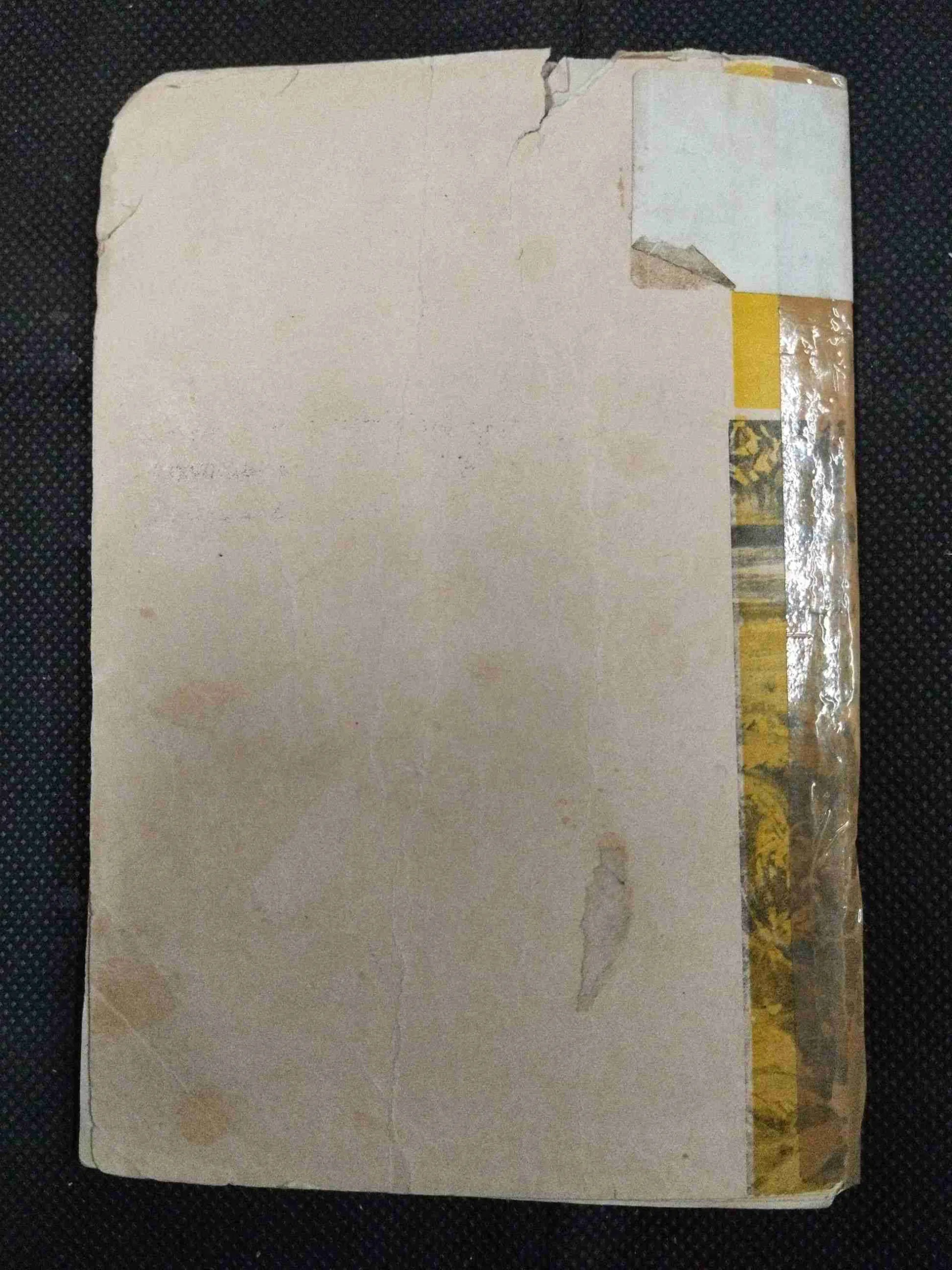 Patit Pawan Ganga ( Cover and some pages are damage but no story damage ) .