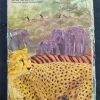 Animal World Encyclopedia In Color .