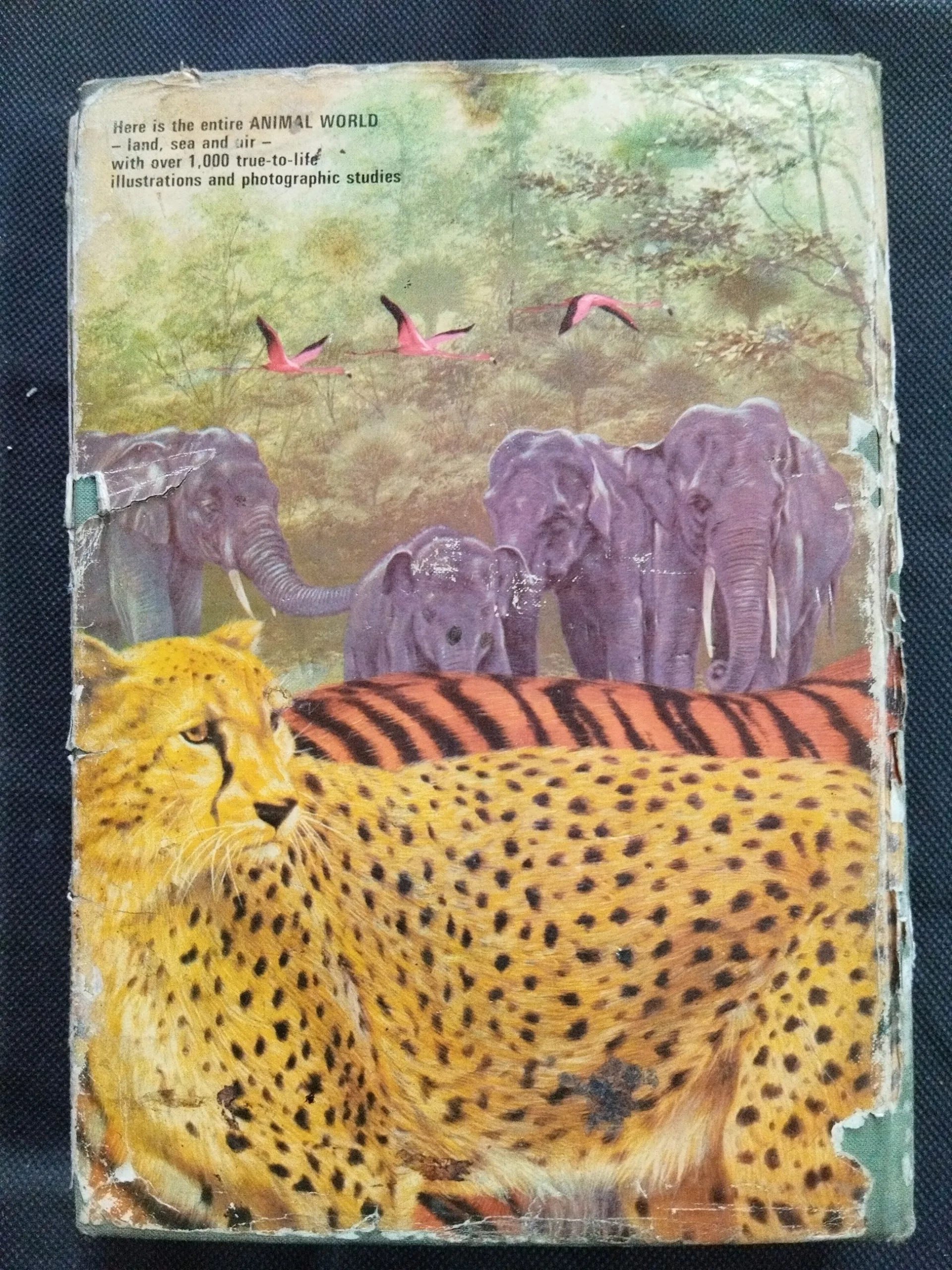 Animal World Encyclopedia In Color .