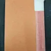 Mahapurusho Ki Jivan Kathaye .