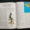 The History Of The World .