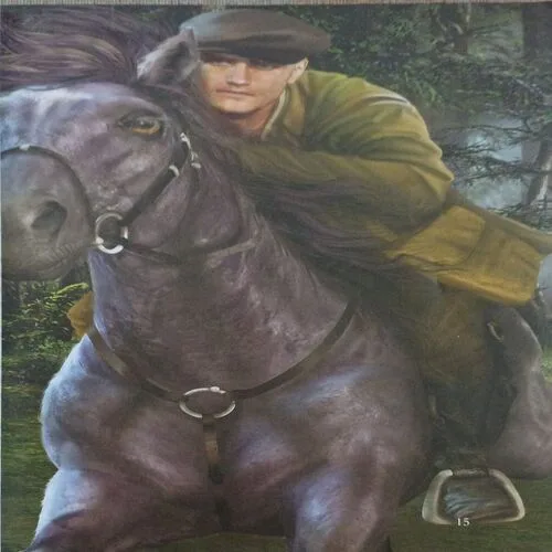 Black Beauty  ( By Anna sewell )  ( No. of pages =87 )