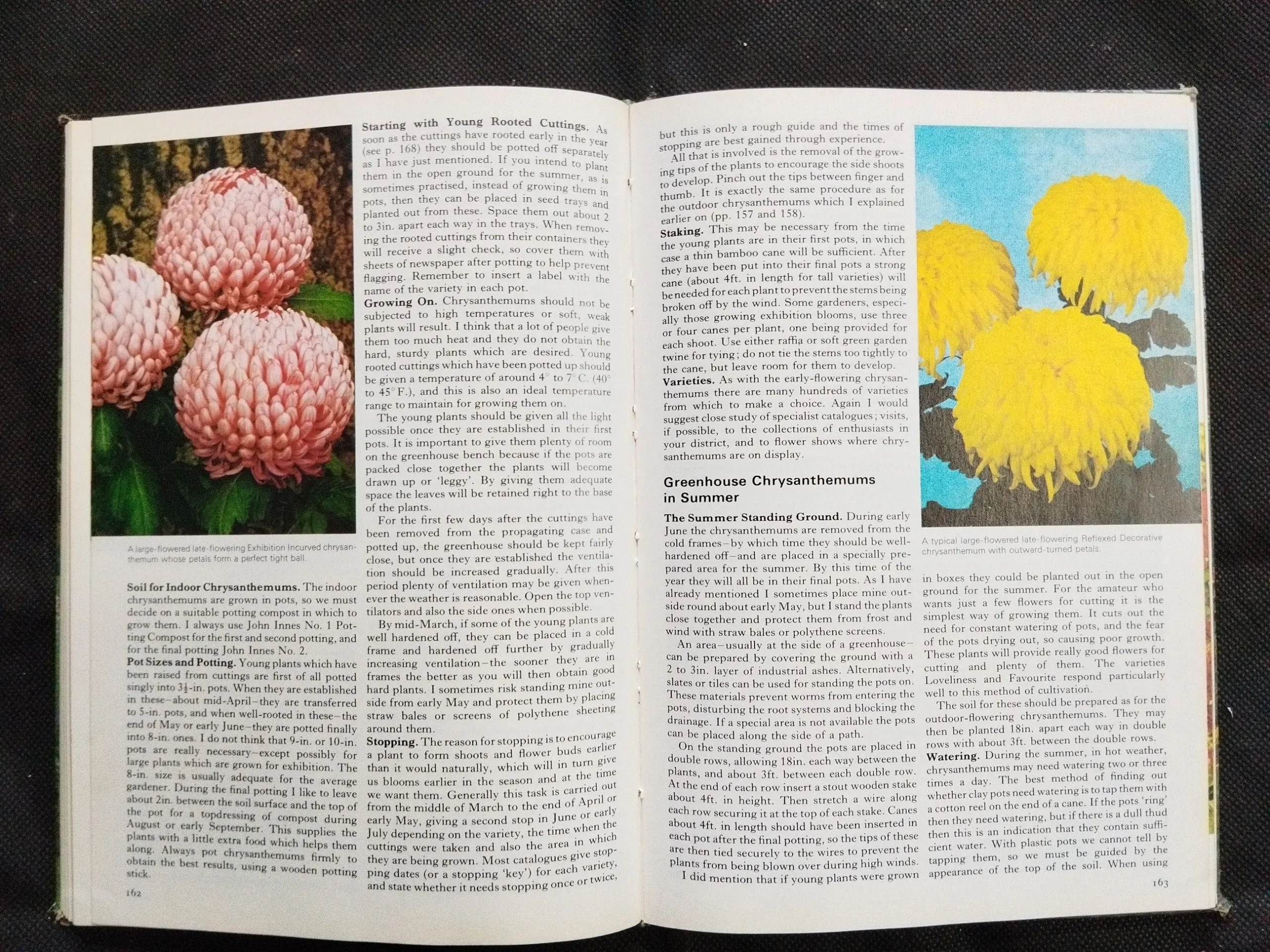 Every Day Gardening In Color ( Percy Thrower’s ) .