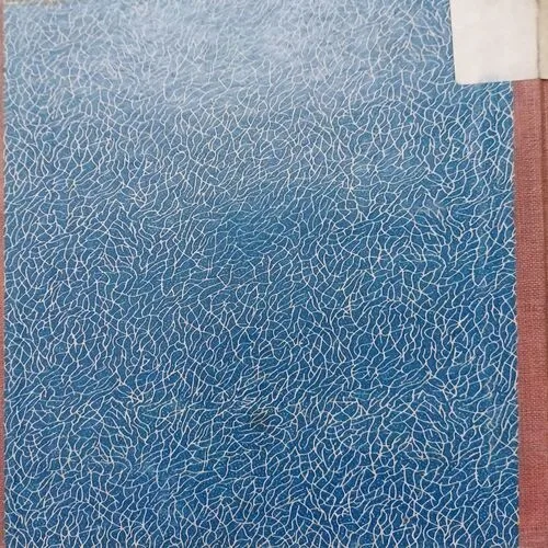 hamare vikas ki kahani ( No. of pages = 40 )