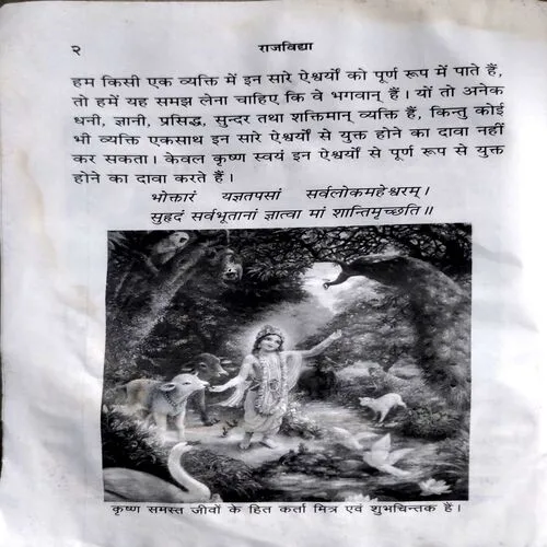 Rajvidya  (No. of pages 146)