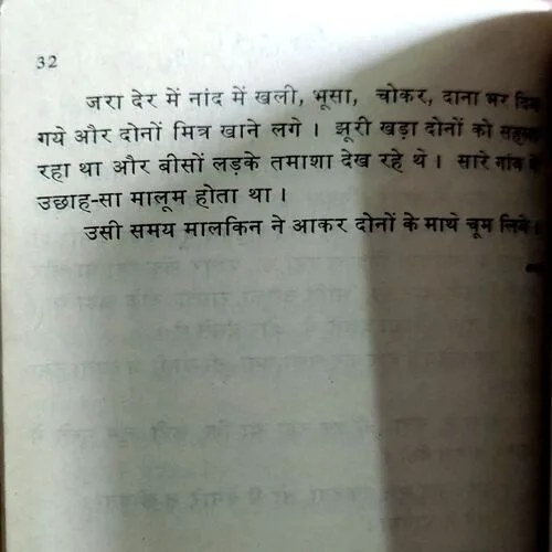 Do Bailo Ki Katha (No. of pages 32)