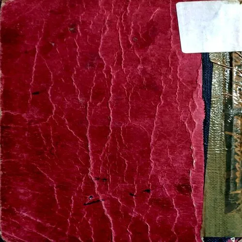 Jaadugarni  (No. of pages 78)