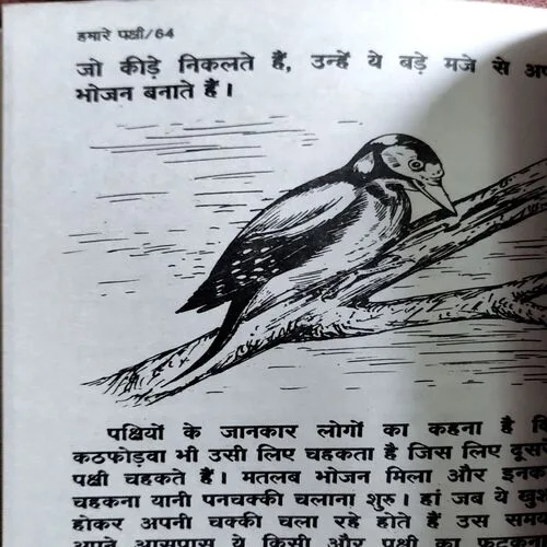Hamare Pakshi (No. of pages 64)