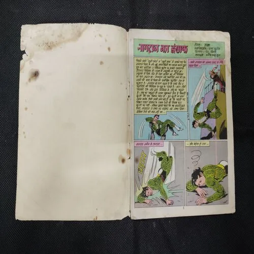 NAGRAJ KA INSAAF