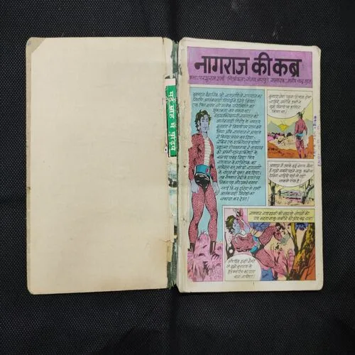 (SINGLE BINDING 2 IN 1) (TOTAL PAGE-78) NAGRAJ KI KABRA, NAGRAJ KA BADLA