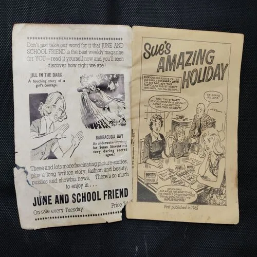 SUE’S AMAZING HOLIDAY