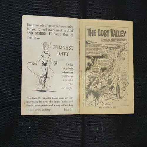 THE LOST VALLEY