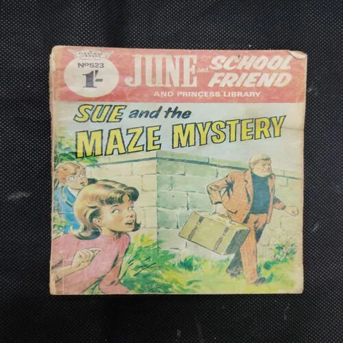 SUE AND THE MAZE MYSTERY