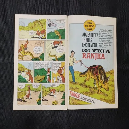 TINKLE (NO-13)