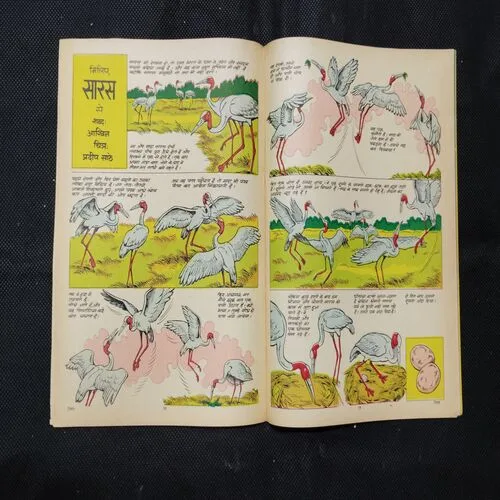 TINKLE (NO-16)
